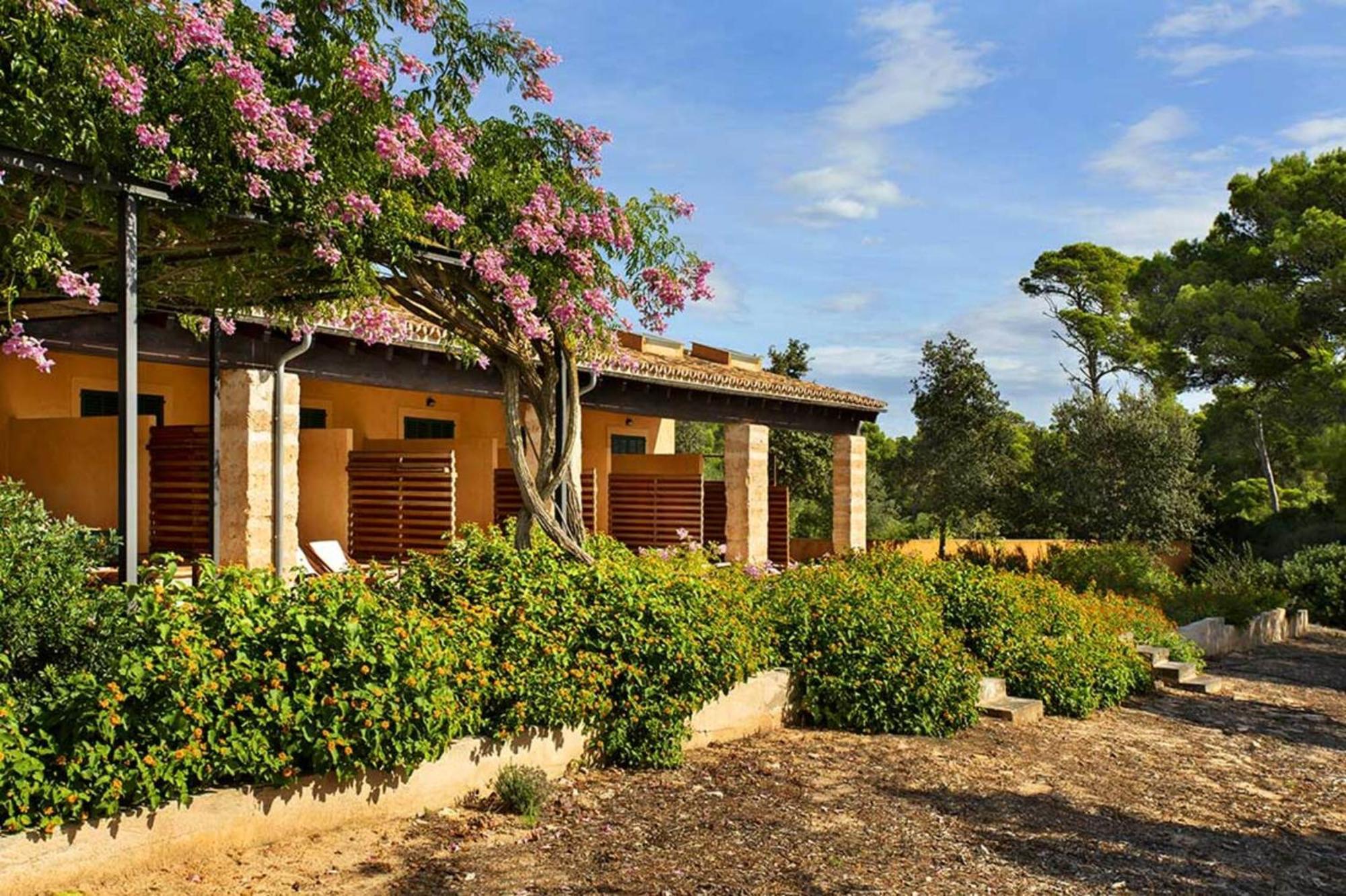 Finca Ses Arenes Lägenhet Colonia de Sant Jordi Exteriör bild